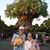 Debi Goetz Hoover's profile image