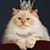 Paul M. Johnson's profile image