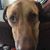 Sandy Scott Seefeldt's profile image