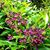 Bobbie Barker Ulmer's profile image
