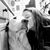 Lora Tucker Kaasch's profile image