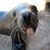 Carolynn Shultz's profile image