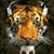 Tony Engler's profile image