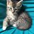 Mary Lessner Sims's profile image