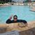 Gerardo Torres's profile image