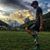 David Edwards's profile image