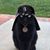 Rodrigo N Prestes's profile image