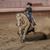 Allison Lash's profile image