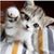 Michelle Dubois's profile image