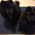 Deb Miller's profile image