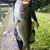 Nicholas Schara's profile image