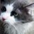 Delna Burkett's profile image