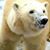 John Turner's profile image