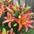 Mary Kuehling's profile image