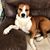 Tory Etheridge's profile image