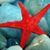 Karen Burke Mathews's profile image