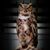 Toni Miller's profile image
