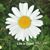 Shawne Moniz's profile image