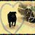 Susan Gibbs's profile image