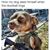 Randy Barbarossa's profile image