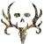 Jayden Chumley's profile image