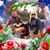Arne Pedersen's profile image