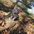 Tim Rauscher's profile image