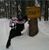 Carol Simmons's profile image