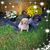 Sherry Cramblett's profile image