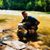 Brad Wilson's profile image