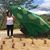 Susi Sanchez's profile image