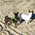 Rhonda Welch's profile image