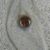 Brian Walsh's profile image