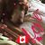 David Robson's profile image