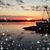 Cara Eberhart-Lofton's profile image