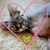 Mayra Hughes's profile image
