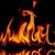 David Bruesch's profile image