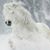 Cindy Ballard's profile image