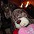 Carolyn Maerkle's profile image