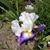 Barb Smith's profile image