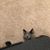 Marlana Faouri's profile image