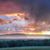 Laura Austin Grant's profile image