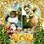 Cindy Kavanaugh Fishley's profile image
