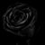 Elizabeth Lisa Vazquez's profile image