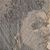 Chavala Psalm's profile image