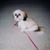 Delores Walk's profile image