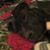 Casandra Manchego's profile image