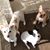 Michele Cunningham Casscles's profile image