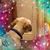 Zena Wright's profile image