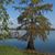 Dixie Quarles's profile image